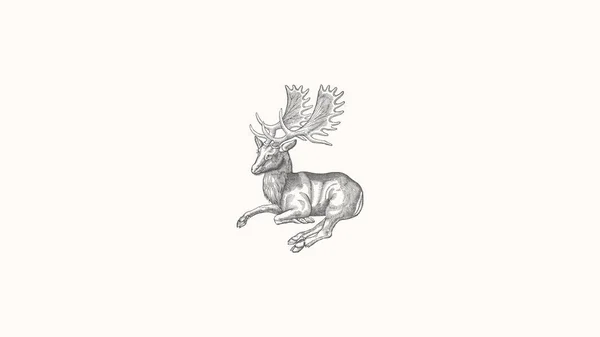 Gazelle Desktop Wallpaper Art Graphic Design — Zdjęcie stockowe