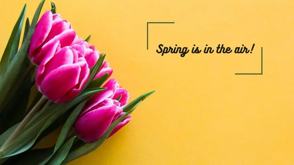 Yellow Pink Minimalist New Season New Spirit Spring Air Desktop — Photo