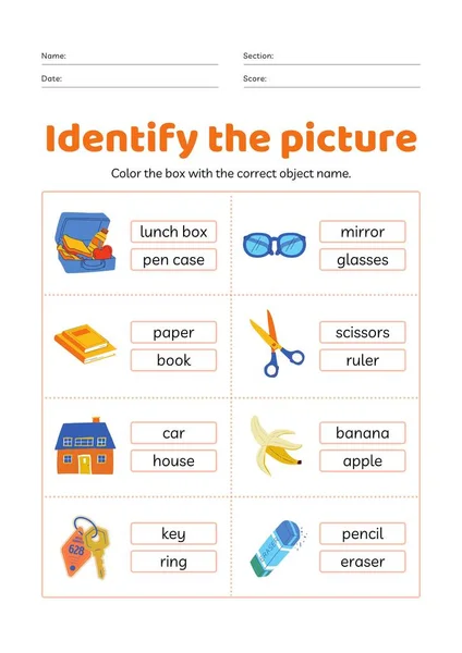 Colorful Identifying Objects Words Foundational Worksheet — Stock Photo, Image