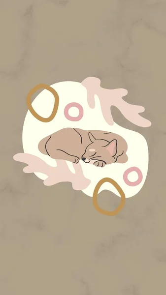Коричневые Розовые Спящие Домашние Животные Заботятся Instagram — стоковое фото