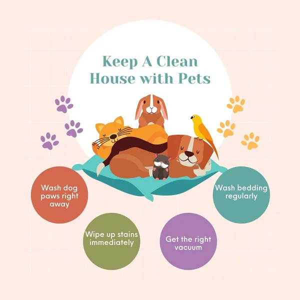 Keep Clean House Pets Instagram Post — Stock Photo, Image