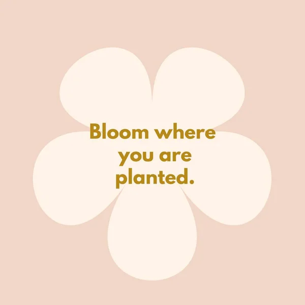 Retro Bloom Quote Instagram Post — 스톡 사진