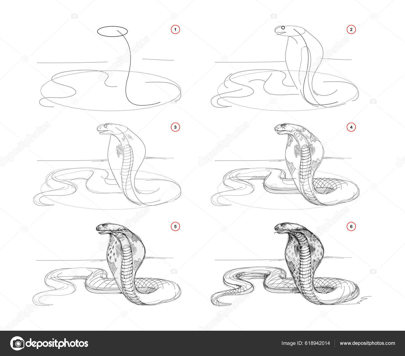 Página Mostra Como Aprender Desenhar Esboço Cobra Criação Passo Passo  imagem vetorial de Nataljacernecka© 618942014