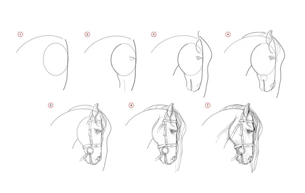 Page Shows How Learn Draw Sketch Horse Head Pencil Drawing — Vector de stock