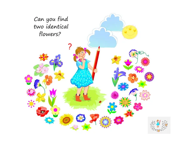 Logic Puzzle Children Adults Can You Find Two Identical Flowers — Stockový vektor