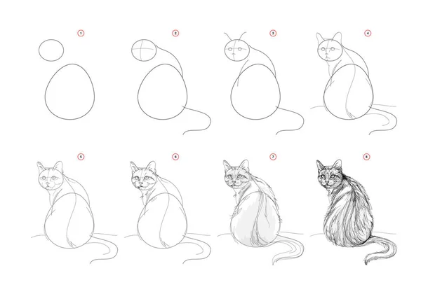 ページには 座っている猫のスケッチを描く方法が表示されます 鉛筆画のレッスン アーティストのための教育ページ 芸術的なスキルを開発するための教科書 オンライン教育 ベクターイラスト — ストックベクタ