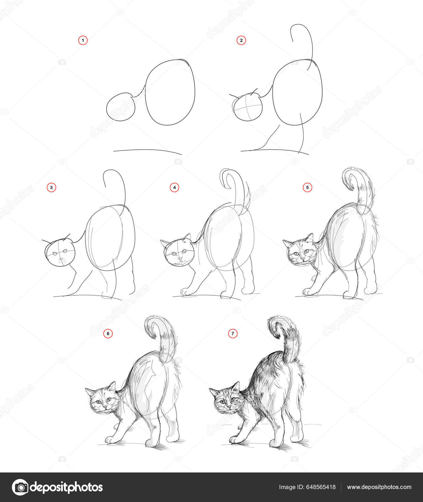 Como desenhar um gato  Tutorial de desenho passo a passo