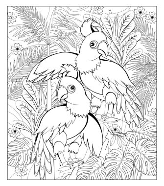 Çocuklar ve yetişkinler için boyama kitabı. Tropikal bahçede bir çift papağan. Zentangle tarzında bir resim. Çizim ve meditasyon için basılabilir sayfa. Siyah ve beyaz vektör resmi.