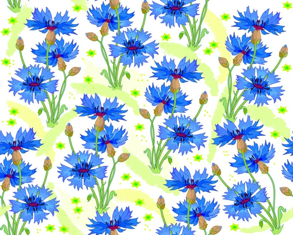 Seamless Pattern Ornament Picture Summer Meadow Blooming Bright Blue Cornflowers — Stock Vector
