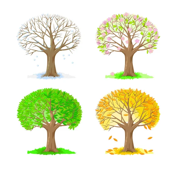 Set Gambar Pohon Dalam Empat Musim Ilustrasi Bergaya Musim Dingin - Stok Vektor