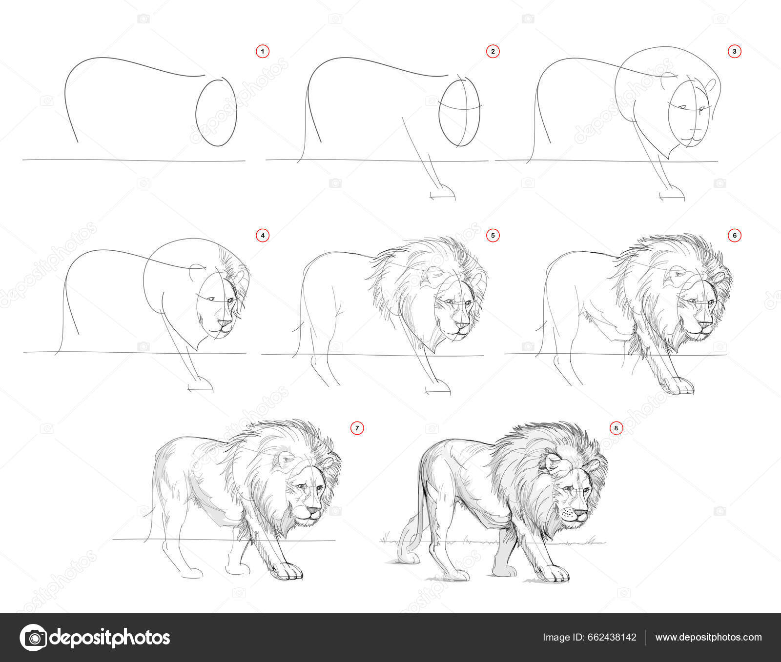 Como Desenhar Da Natureza O Desenho De Cavalo Em Pé Criação Passo