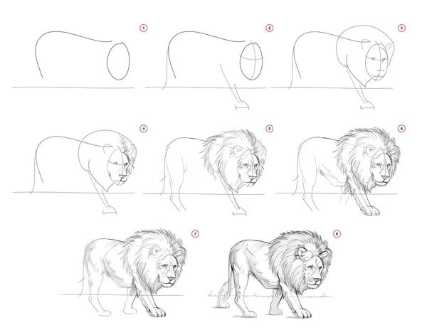 Página Mostra Como Aprender Desenhar Esboço Cabeça Gatos Criação Passo  imagem vetorial de Nataljacernecka© 536415528