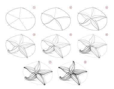 Sayfa, hayattan nasıl çizim yapılacağını gösteriyor. Deniz yıldızı çizimi. Kalem çizim dersleri. Sanatçılar için eğitim sayfası. Sanatsal becerileri geliştirmek için bir ders kitabı. Online eğitim. Vektör illüstrasyonu.
