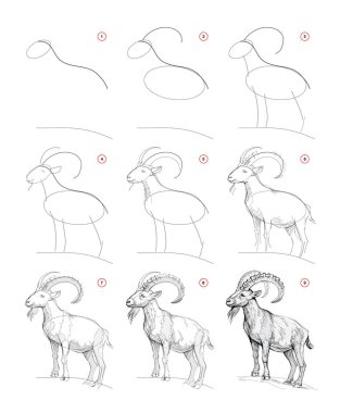 Sayfa, vahşi bir dağ keçisini çizmeyi nasıl öğreneceğini gösteriyor. Kalem çizim dersleri. Sanatçılar için eğitim sayfası. Sanatsal beceriler geliştiriyor. Online eğitim. Vektör illüstrasyonu.