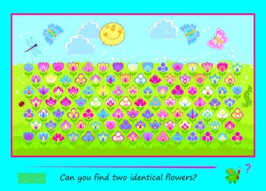 Çocuklar ve yetişkinler için mantık bulmacası. Oyun ara ve bul. Birbirinin aynı iki çiçek bulabilir misin? Çocuk zeka kitabı için çağrı. Dikkatlilik için görev. IQ testi. İnternette oyna. Düz vektör illüstrasyonu.