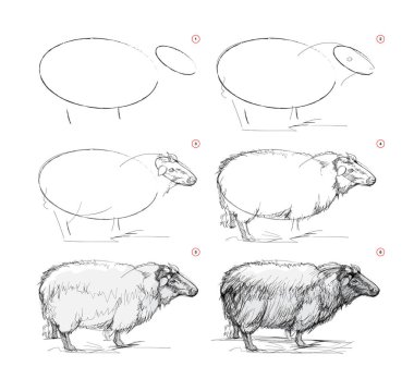 Sayfa, hayattan nasıl güzel bir koyun çizileceğini gösteriyor. Kalem çizim dersleri. Sanatçılar için eğitim sayfası. Sanatsal becerileri geliştirmek için bir ders kitabı. Online eğitim. Vektör illüstrasyonu.