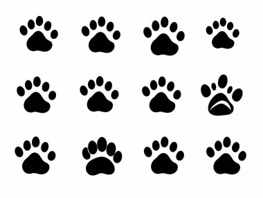 Paw simgesi vektör illüstrasyonu. Pençe izi ve sembol. köpek ya da kedi pençesi koleksiyonu