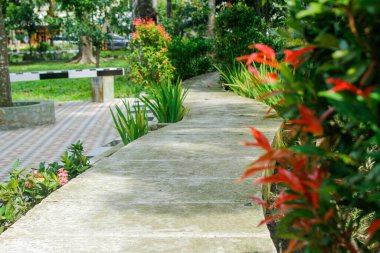 Güzel bir bahçede yayalar.