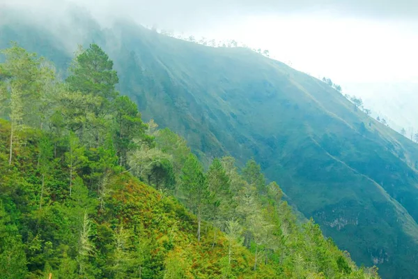 绿林覆盖着乌云的山景 — 图库照片