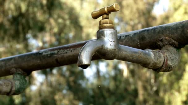 Wasser Flüssig Tropfen Nass Haus Frisch Natur Aqua Stream Tröpfchen — Stockvideo