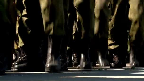 Ejército Militar Pequeño Grupo Soldados Marchando Soldados Marchando Con Equipo — Vídeo de stock