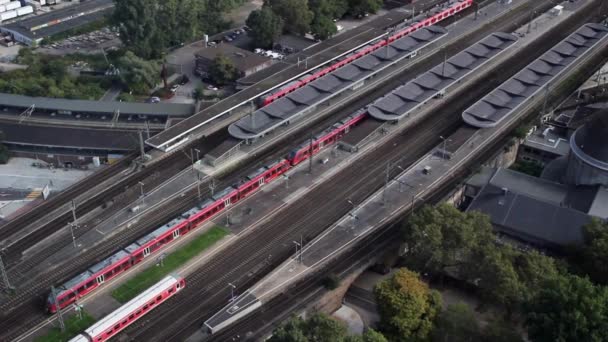 Trains Transport Ferroviaire Transport Voyageurs Train Voyageurs Entreprise Déplacer Chemin — Video