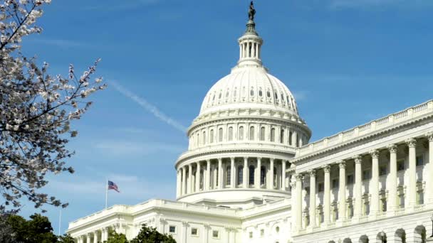 United States Capitol Byggnaden Washington Morgonen Hem Till Usa Kongress — Stockvideo
