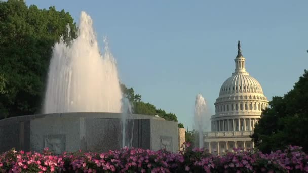 Днем Здание Капитолия Сша Вашингтоне Единое Архитектурное Здание Сша — стоковое видео