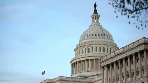 Egyesült Államok Capitol Building Washington Kert Gyep — Stock videók