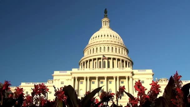 アメリカの旗アメリカの有名な建物アメリカの建築の自由ホワイトステートランドマーク民主主義と共和国上院 — ストック動画