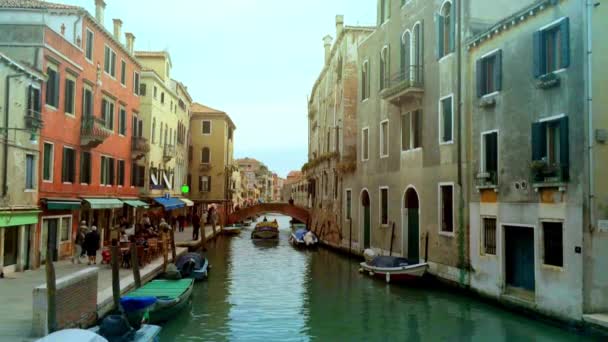 Venecia Casas Históricas Sobre Gran Canal Italia Destino Viaje Icónicos — Vídeo de stock