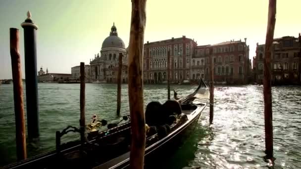 威尼斯历史建筑近海口狭窄的大运河上美丽的贡多拉观光游览 — 图库视频影像