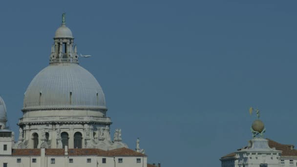 Santa Maria Della Salute Venice Traditional Venice House Italy Tourism — Stock Video
