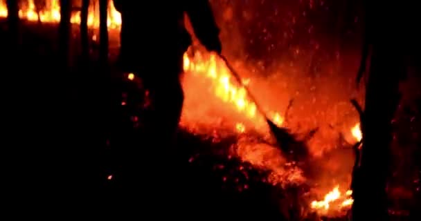 Strażak Gaszenie Płomieni Wodą Węża Przy Pożarze Drewna Niebezpieczne Prace — Wideo stockowe