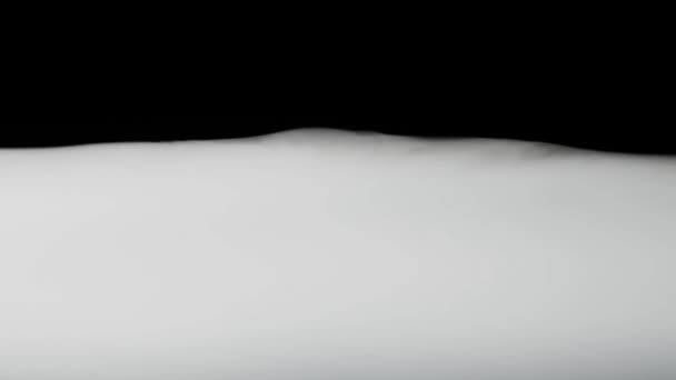 Witte Dichte Dikke Rookkolom Zwarte Achtergrond Zeer Vervuilend Concept Abstracte — Stockvideo