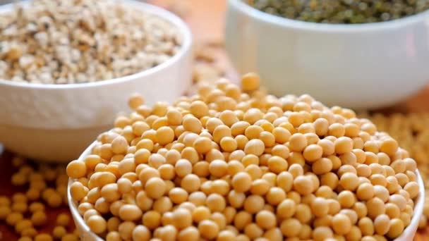 콩나물 다이어트 채식주의자 단백질 — 비디오