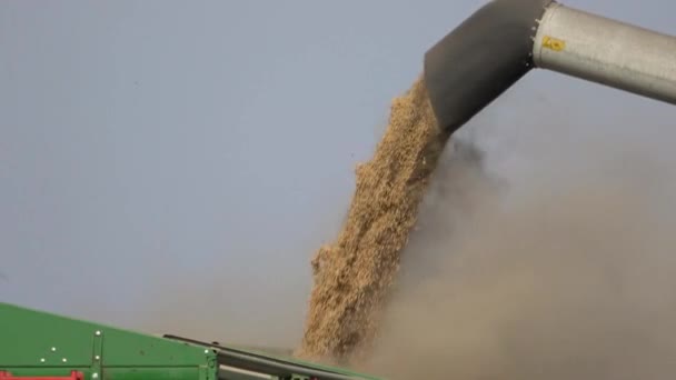 Aerial Shot Soybean Field Ripening Agricultural Landscape Harvester Collects Tractor — Stock Video