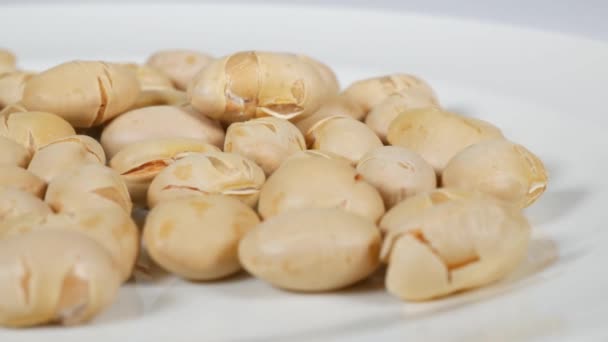 收获大豆种子有机天然豆类天然健康谷类食品 — 图库视频影像