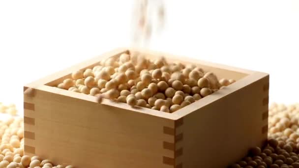 Soybean Soya Beans Diet Closeup Background Ingredient Fresh Vegetarian Protein — Stock Video