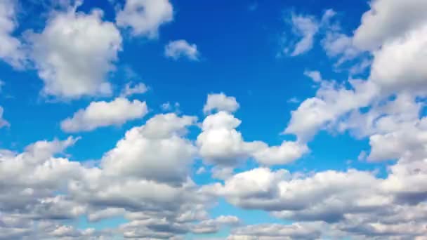 Nube Bianco Sfondo Aria Cielo Timelapse Cumulus Nuvole Movimento Blu — Video Stock