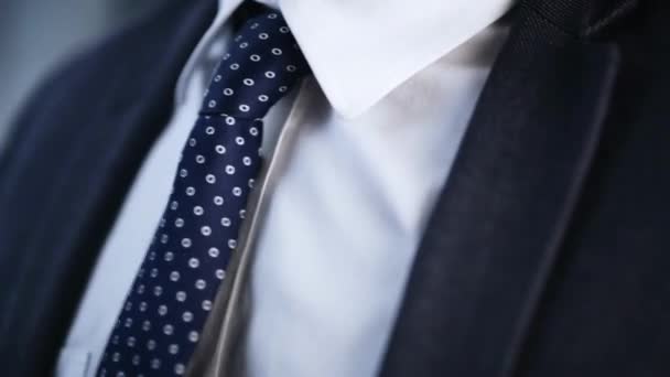 Młody Biznesmen Dopasowuje Krawat Wiązanie Prostowanie Krawat Zbliżenie Elegant Człowiek Klip Wideo