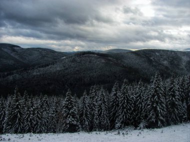 Serin bir dağ alacakaranlığında karla kaplı ağaçlar