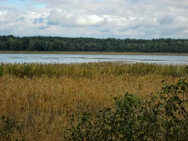 Sessiz, huzurlu bir nehir sık bir ormanlık alanda dolanıyor.