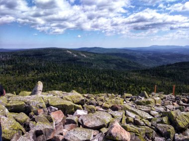 Uçsuz bucaksız yeşil bir ormanın üzerindeki kayalık bir dağın panoramik manzarası.
