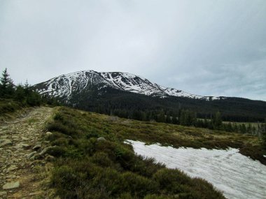 Yay izli karlı dağ yamacı