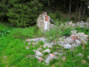 Orman yeşilliğinin ortasında çürüyen eski bir kalenin duvarları.