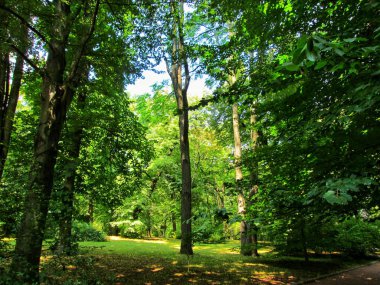 Şehir parkı yazın serinlik sağlar.