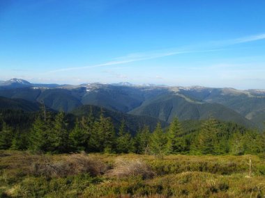 Dağlarda güzel bir bahar