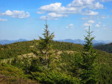 Yazın Görkemli Dağlar