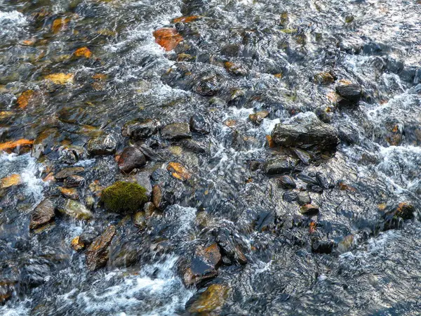 stock image Clear water flows swiftly over a rocky riverbed, capturing the dynamic movement and natural textures in a vibrant outdoor setting